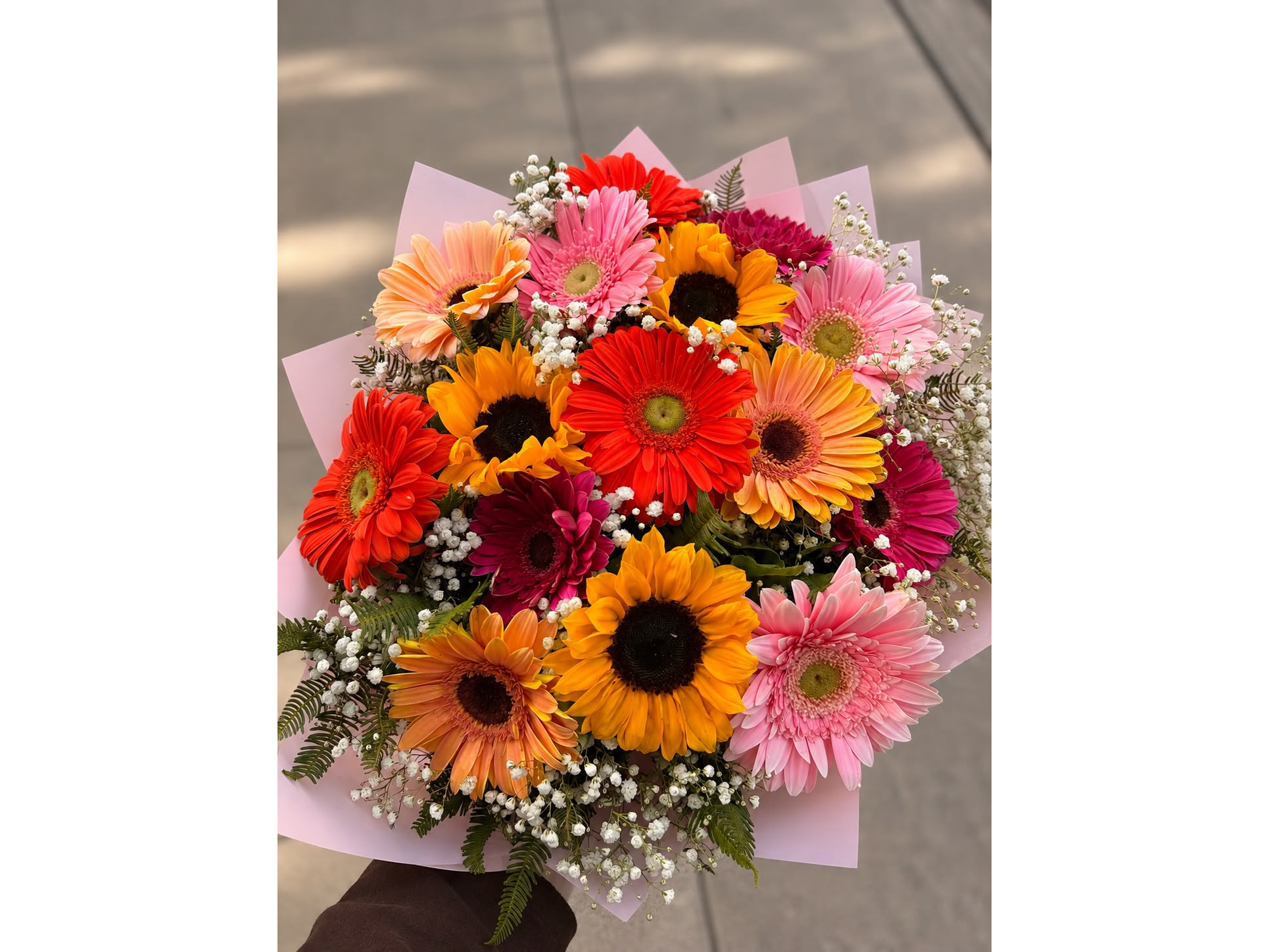 Dulce Primavera
