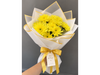 Promoción de maule