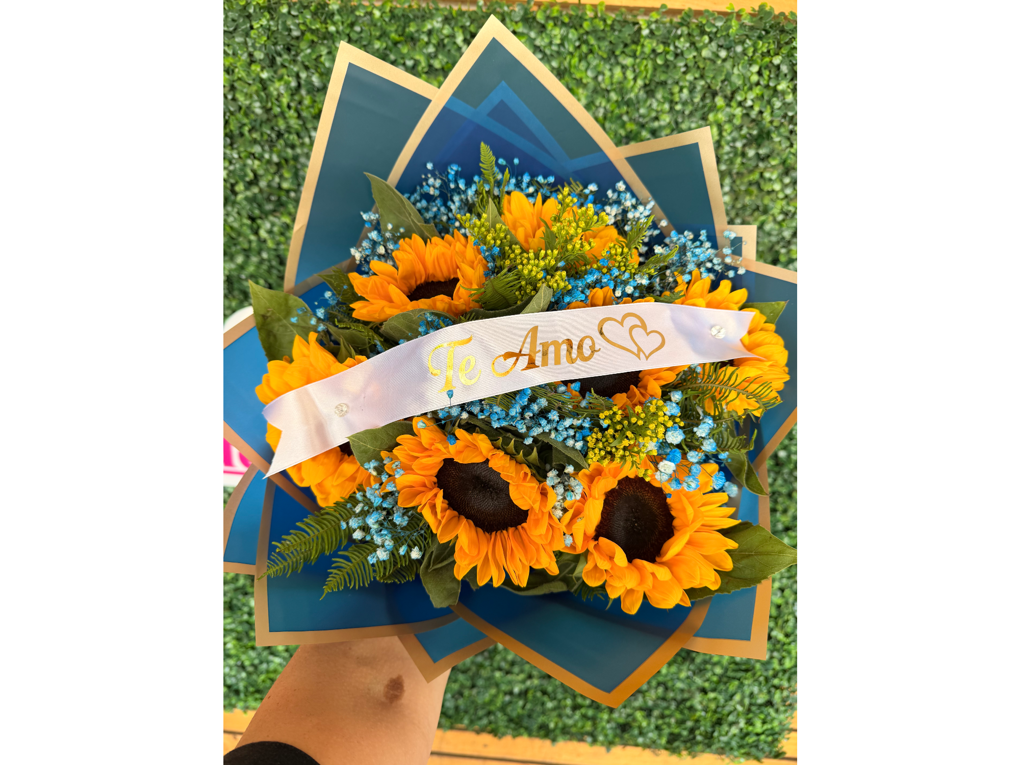 Girasol y nubesitas te amo