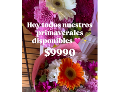 Primaverales