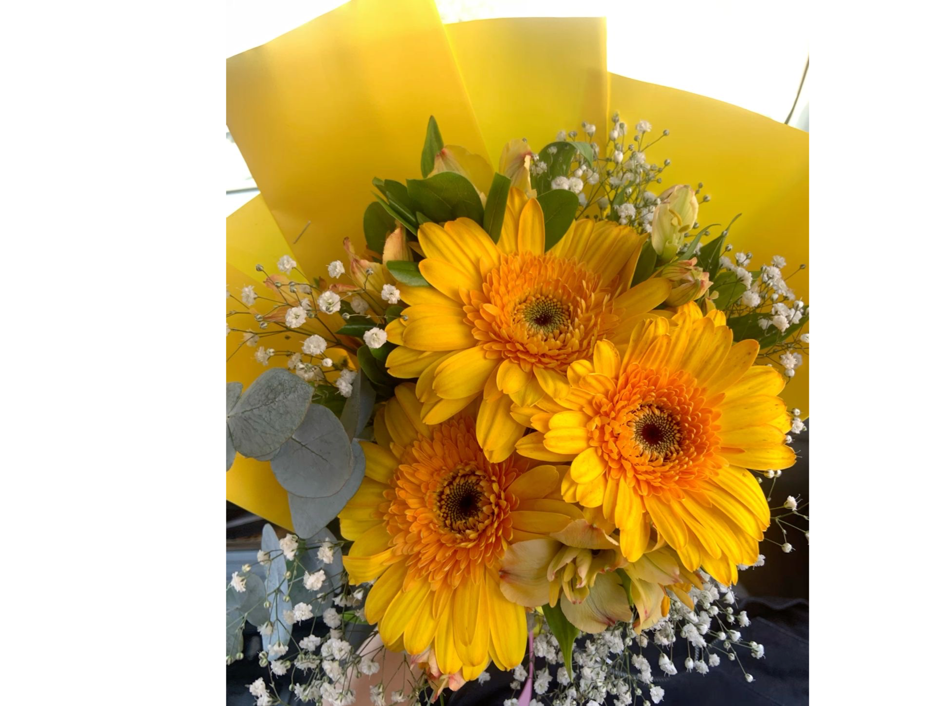 Ramo de gerbera con gypsufia