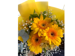 Ramo de gerbera con gypsufia