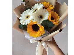 GERBERAS y Girasoles