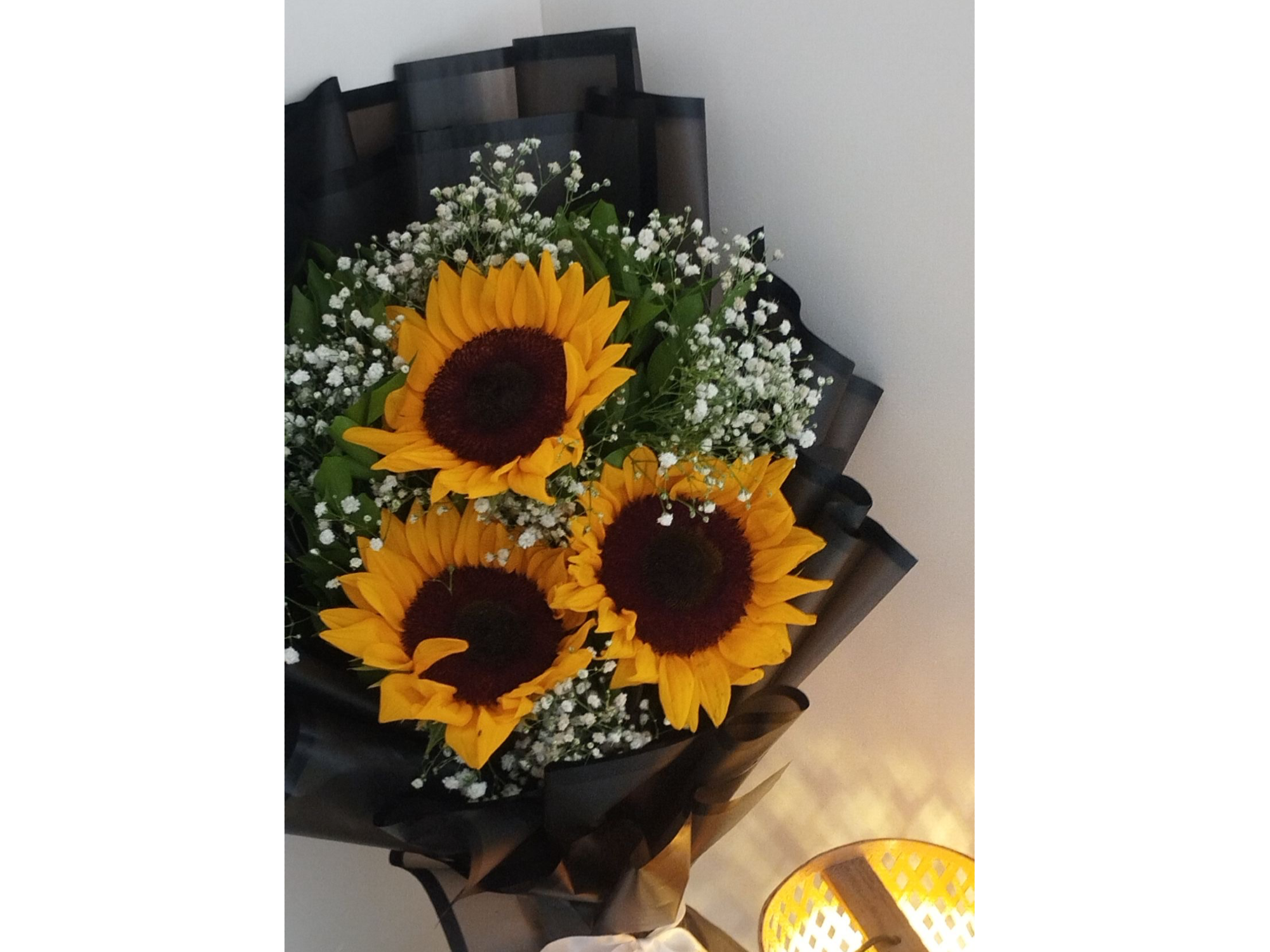 3 girasoles 🌻 nubesitas