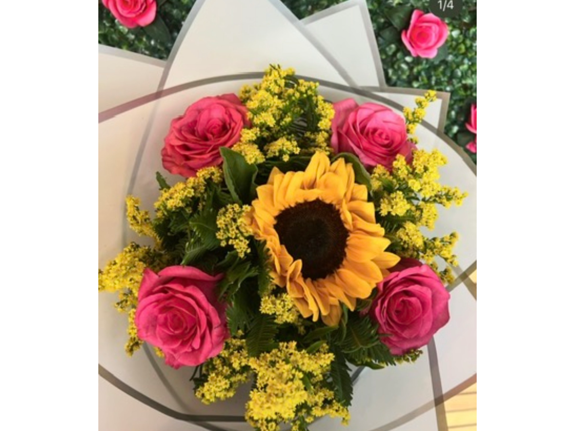 Rosa s fucsias girasol centro y Solidago