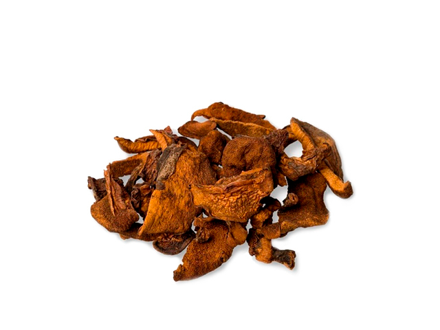 Hongos de Pino