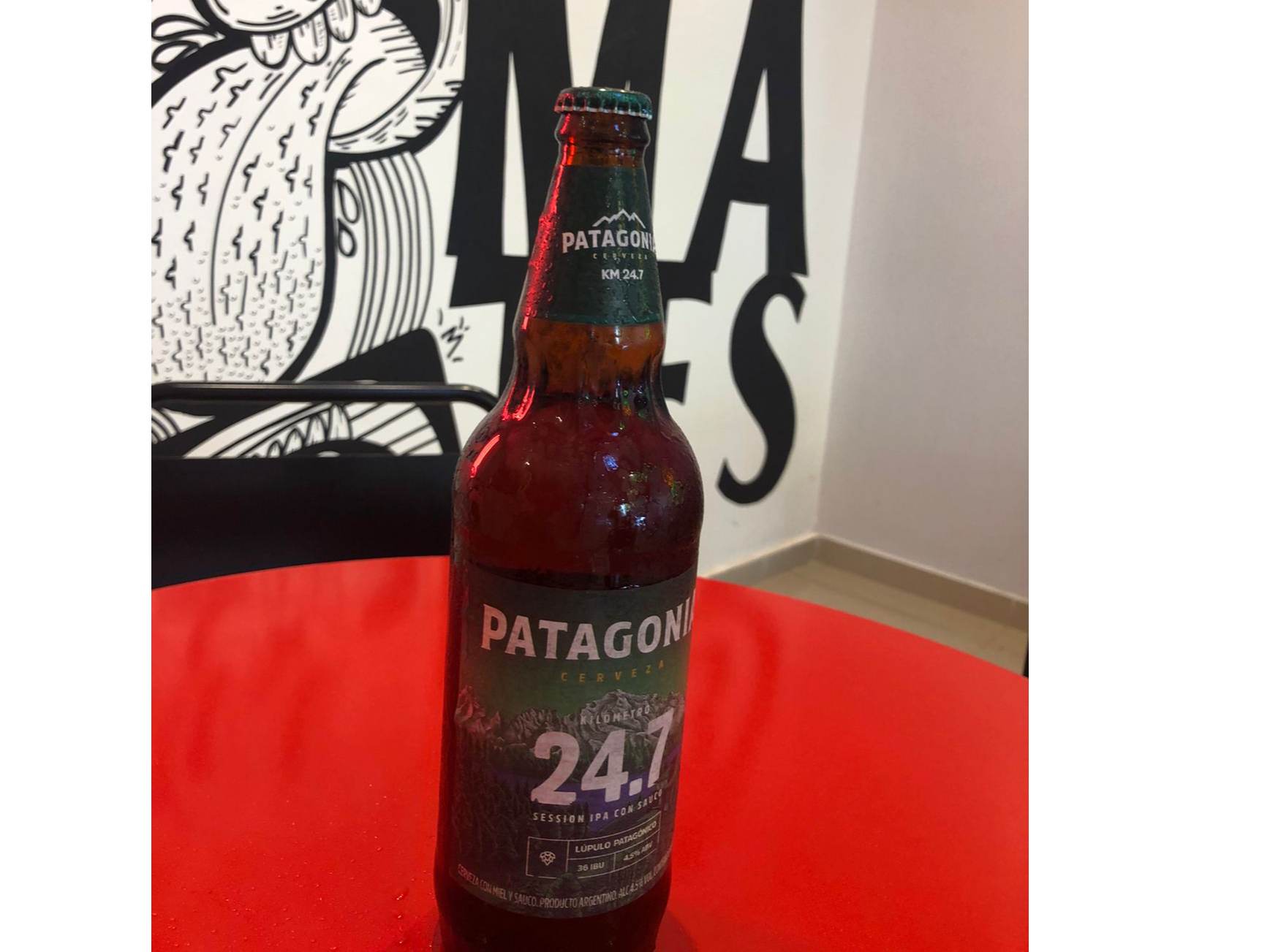 Patagonia 24.7 en botella de 730 cc