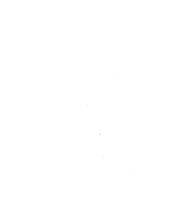Logo SANTANA