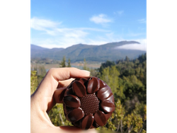 SNICKJOR - MANJAR PISTACHO