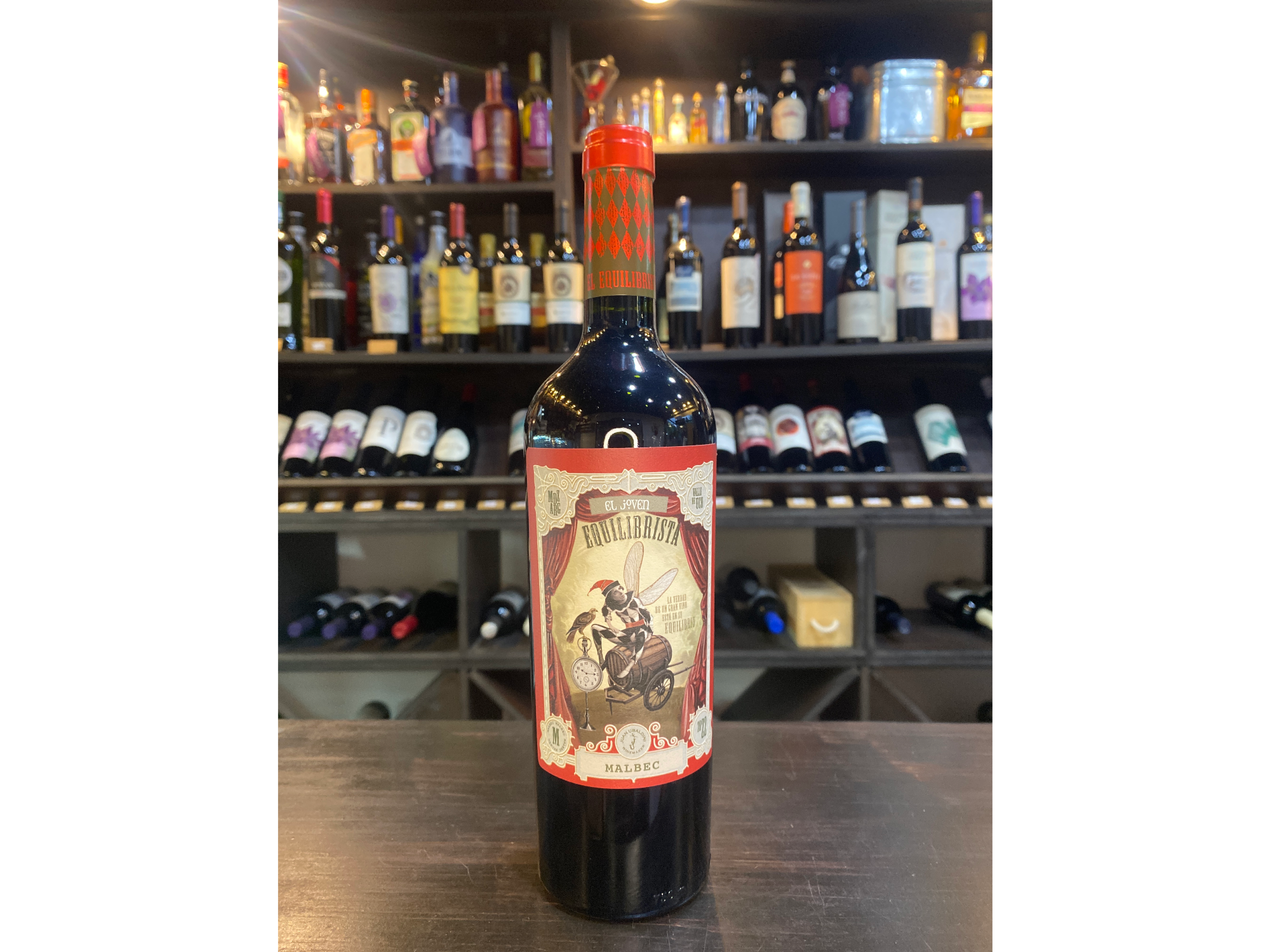 El joven equilibrista