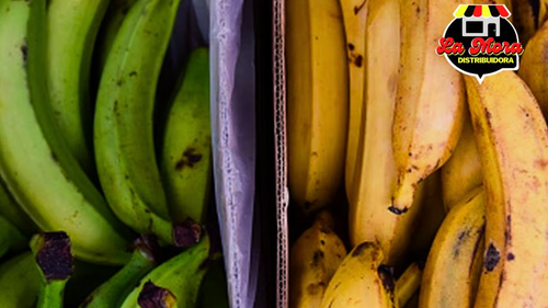 Plátanos y Paltas (Aguacates)🥑