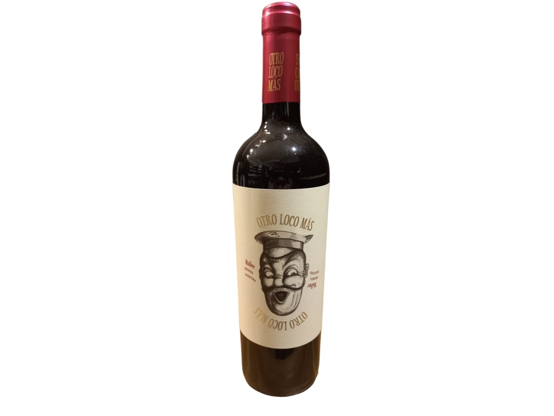 Vino Otro Loco Mas