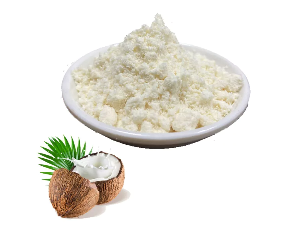 Leche de coco en polvo x 1kg