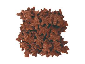 Ositos de chocolate LASFOR