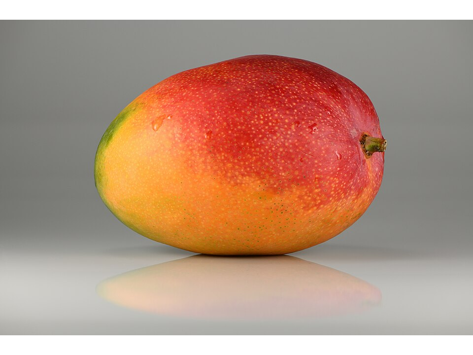 MANGO BRASILERO