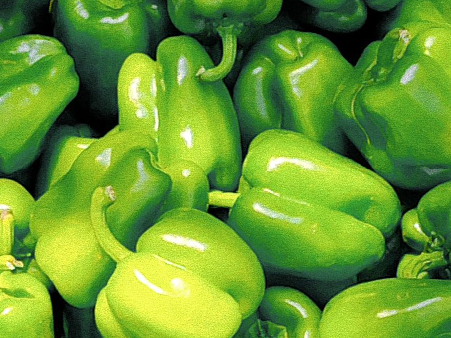 PIMIENTO VERDE