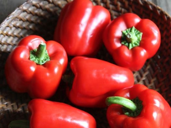 PIMIENTO ROJO