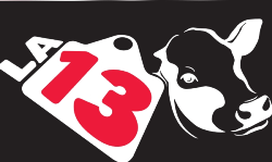 Logo KRNILA13SAS