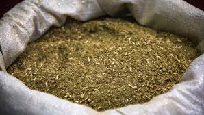 YERBA