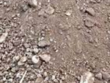 CAMIONADA DE RELLENO DE OBRA (5m3)