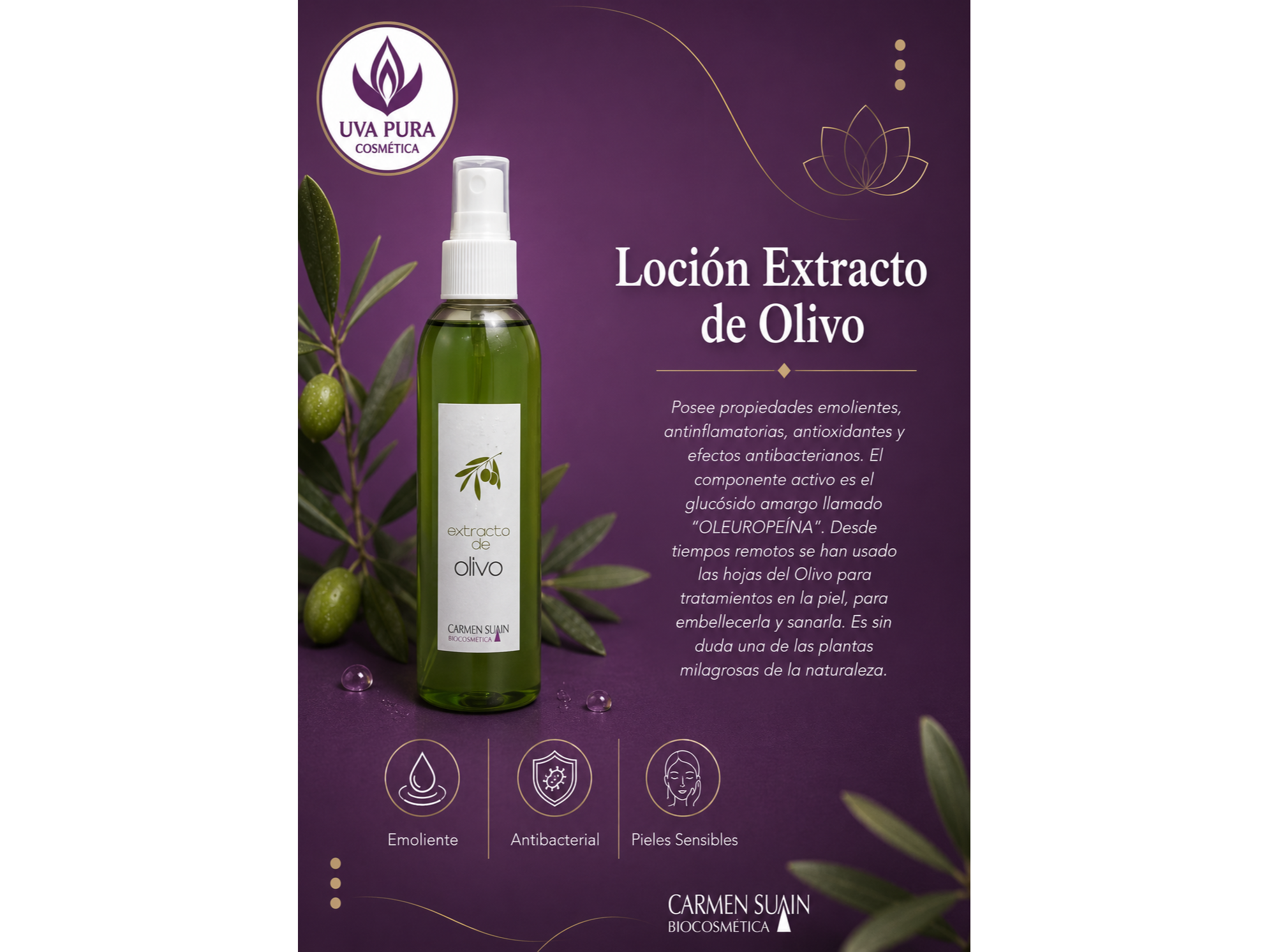 Locion Extracto de Olivo 200 ML- Apto Celiacos-