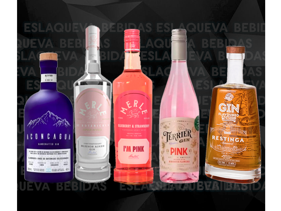 VARIEDAD DE GIN