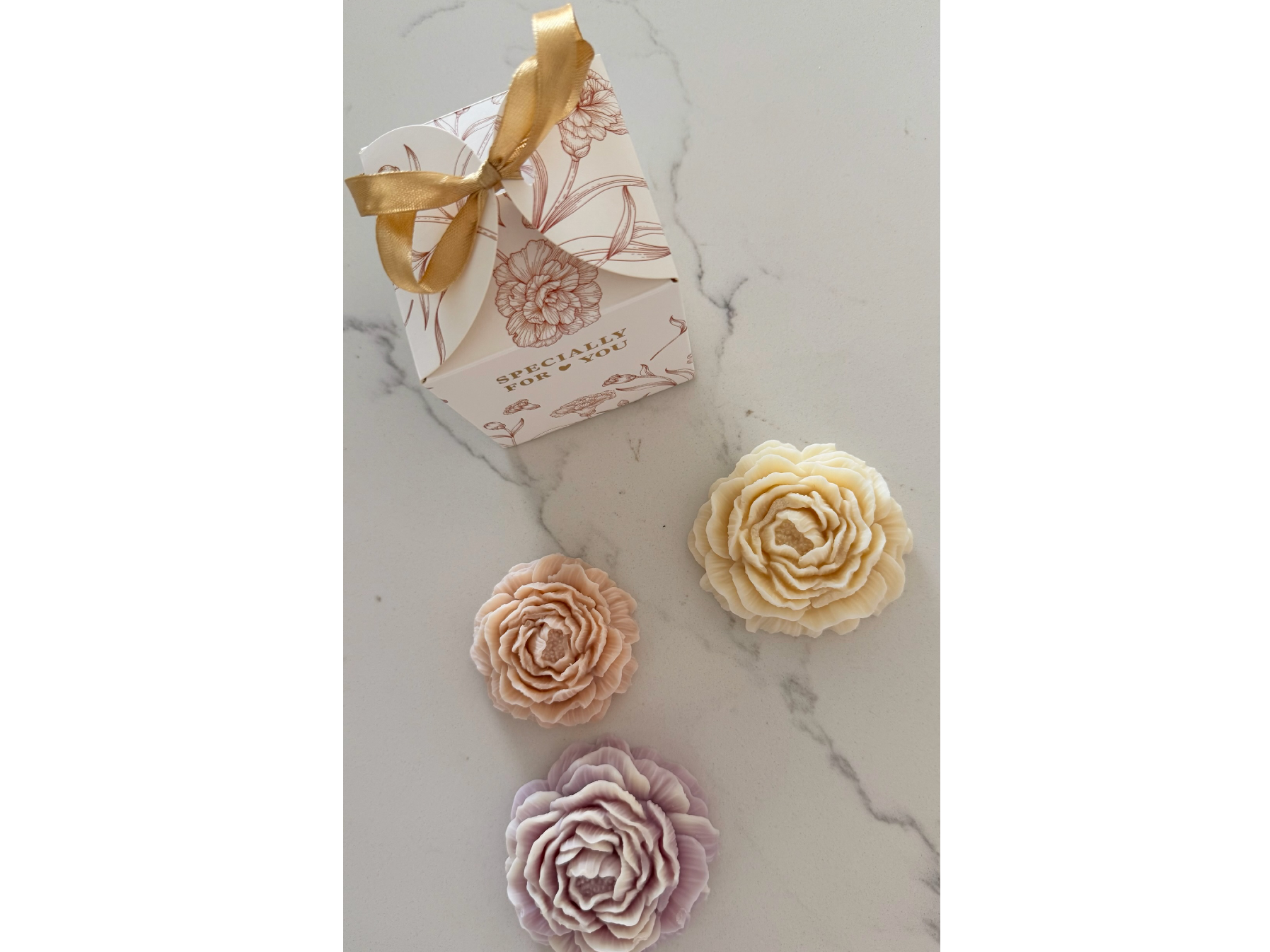 Peonia specially for you