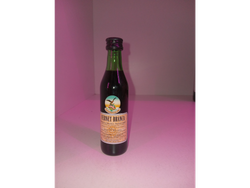 FERNET BRANCA (MINI) 5Cl
