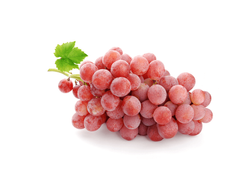 Uva rosada