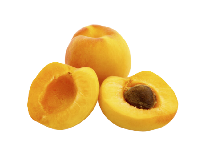 Damasco