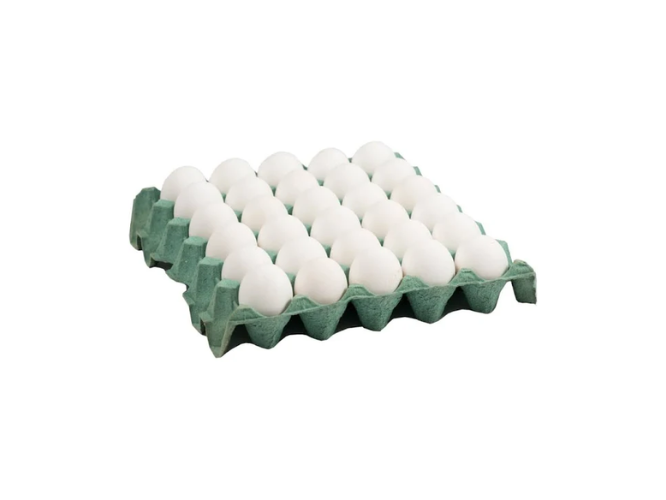 Maple de huevo grande - Blanco