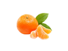 Mandarina dancy