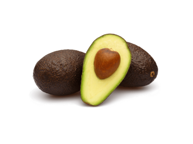 Palta
