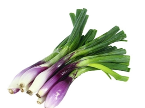 Maso cebollita verdeo