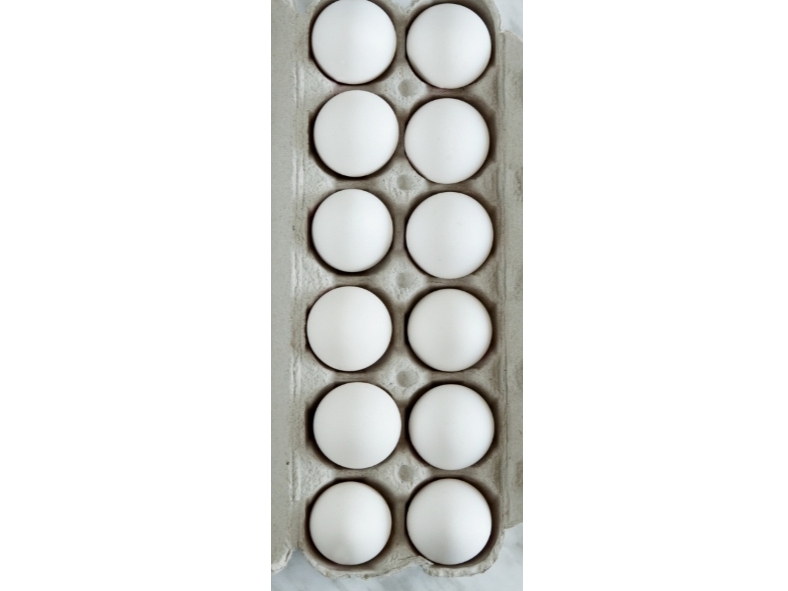 Docena x 12 huevos