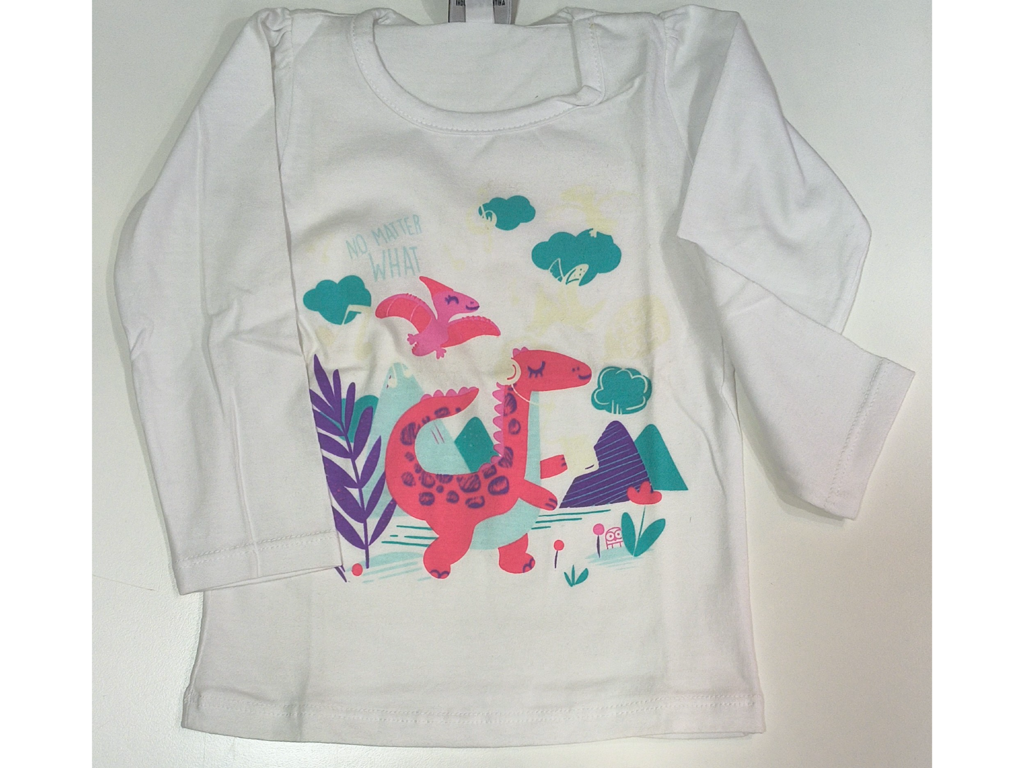 Remera Dino talle 2 años