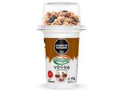 Yogur Con Granola x172g