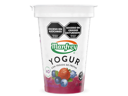 Yogur con Frutas de Frutos del Bosque x150g
