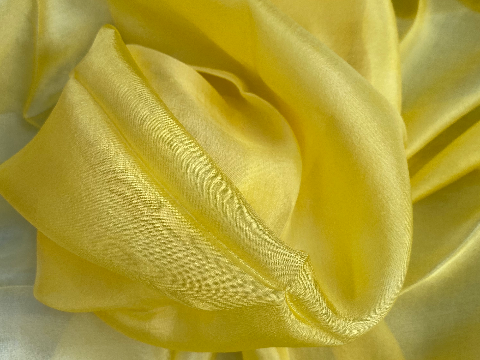 Amarillo oro