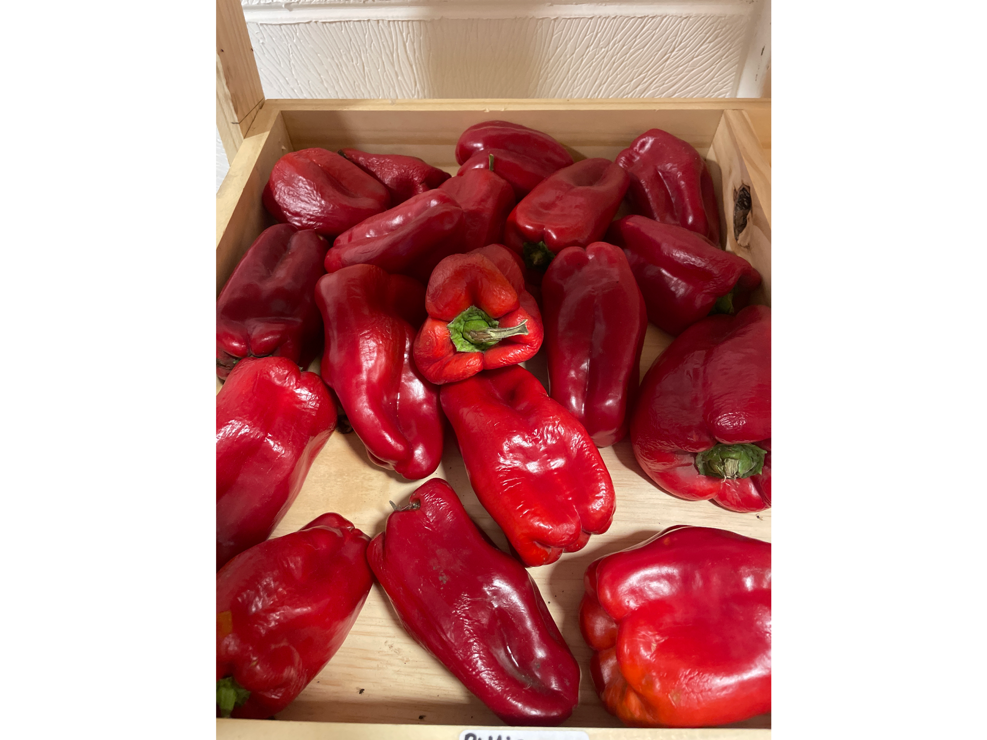 Pimiento rojo
