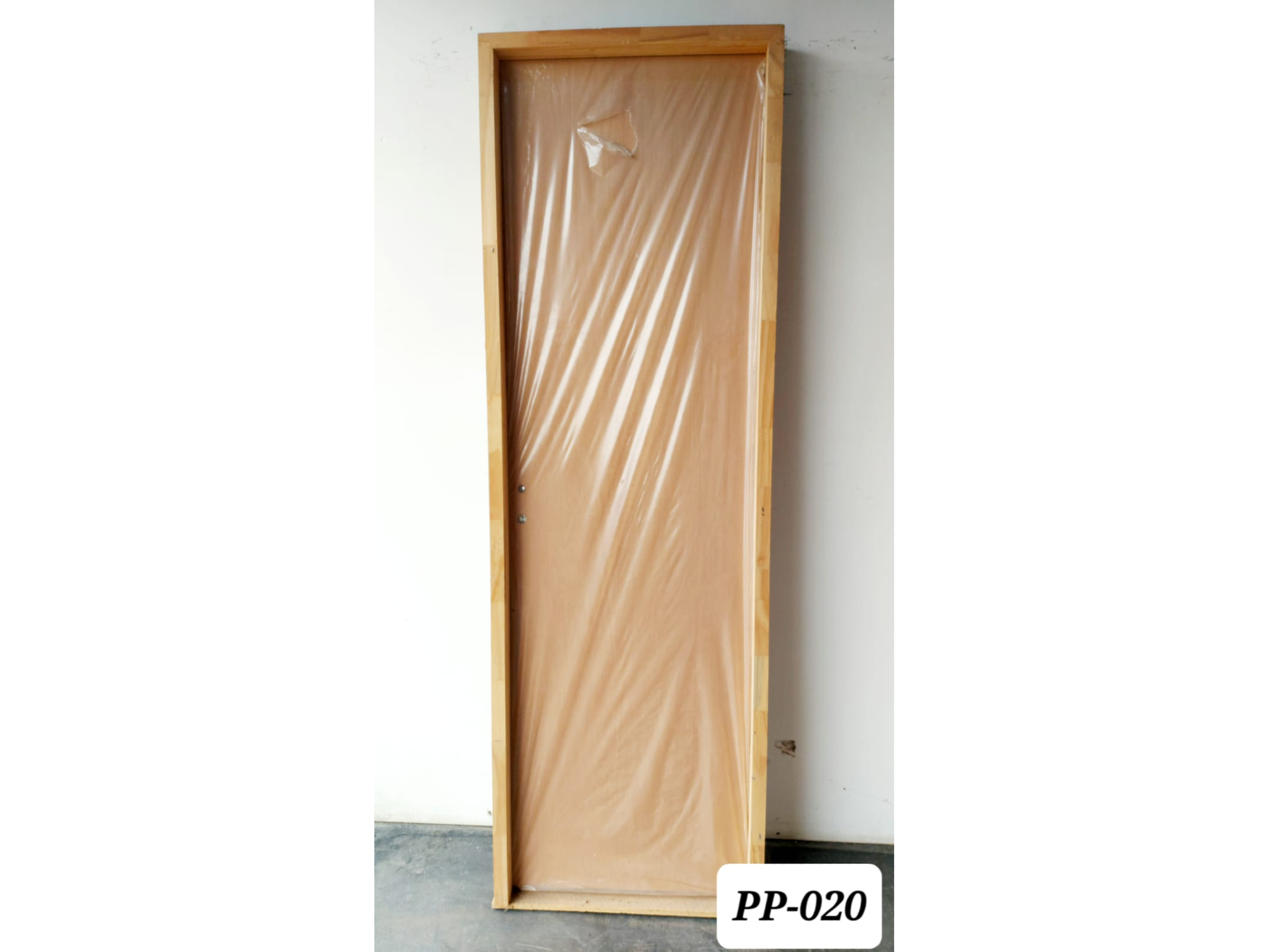PP-020
