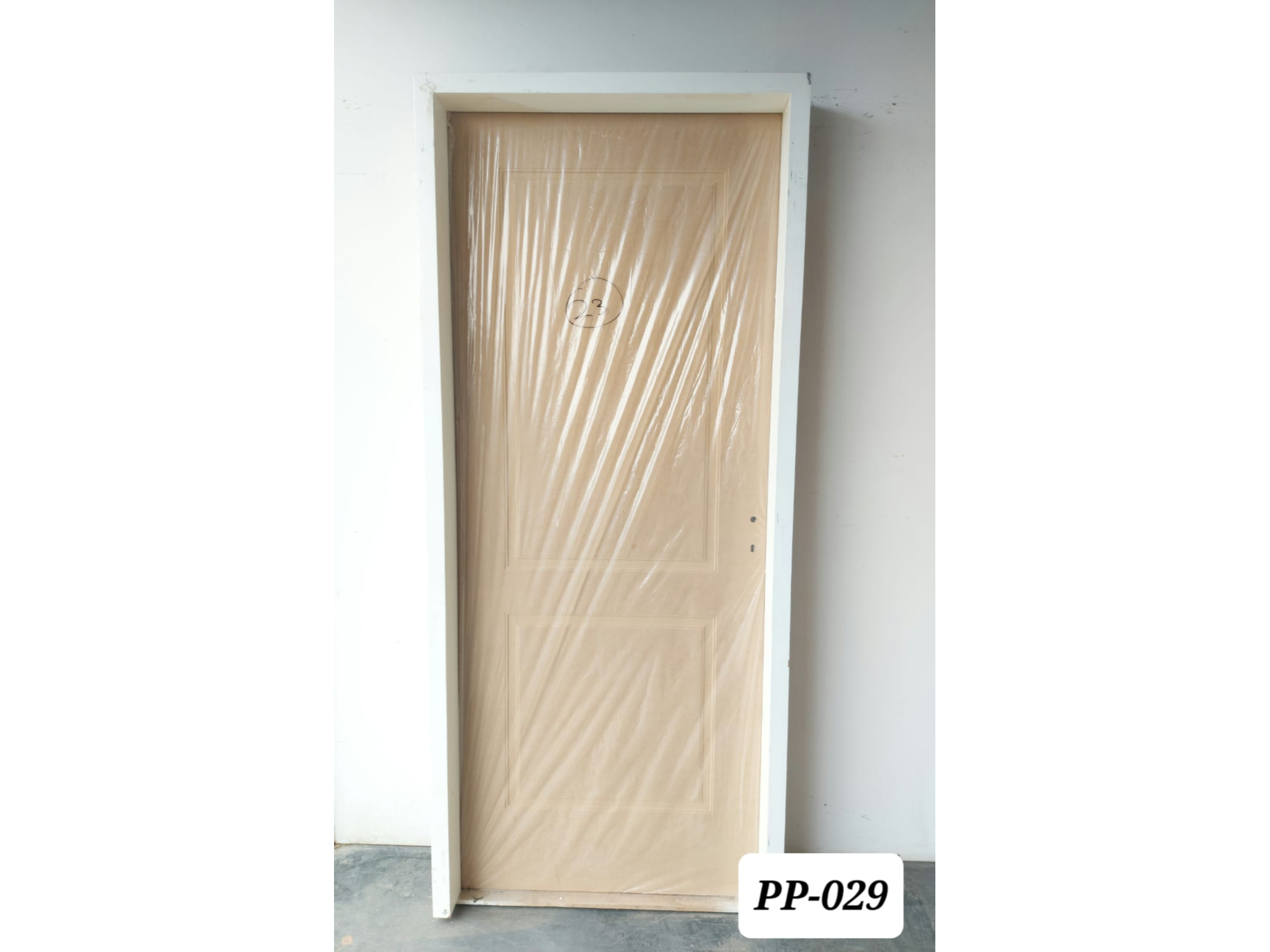 PP-029