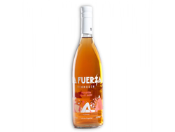 La Fuerza Primavera en los Andes