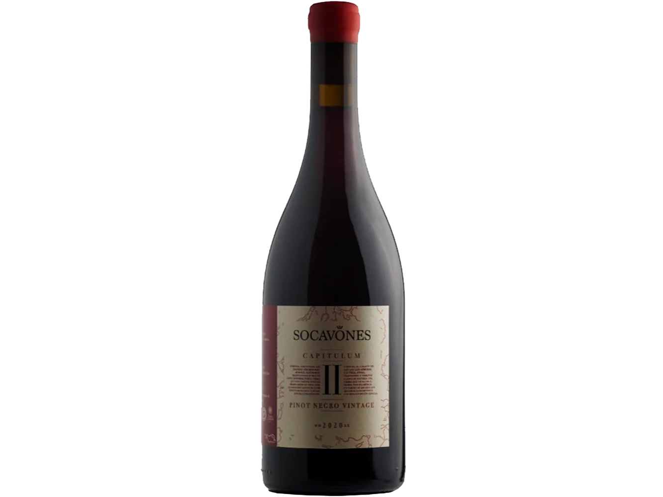 Capitulum II-Socavones Pinot Negro Vintage