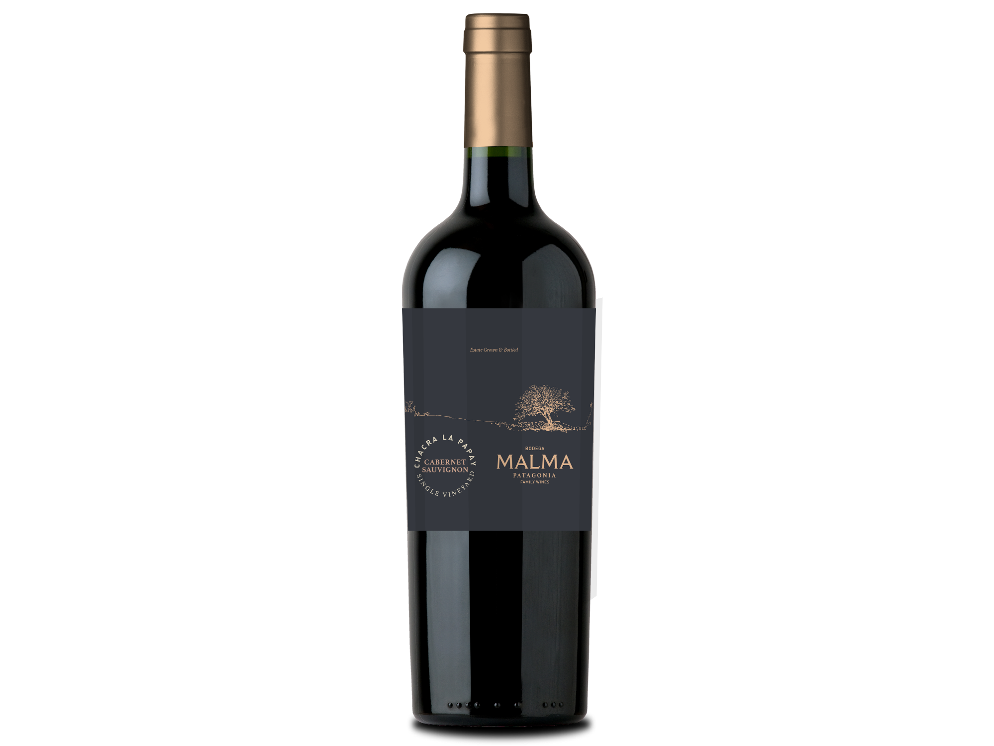 Chacra La Papay Cab. Sauvigon