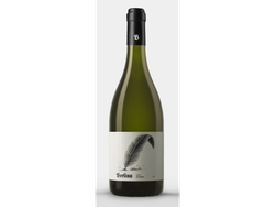 Berlina Torrontes