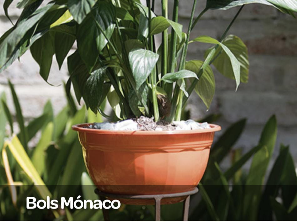Maceta Bols Monaco