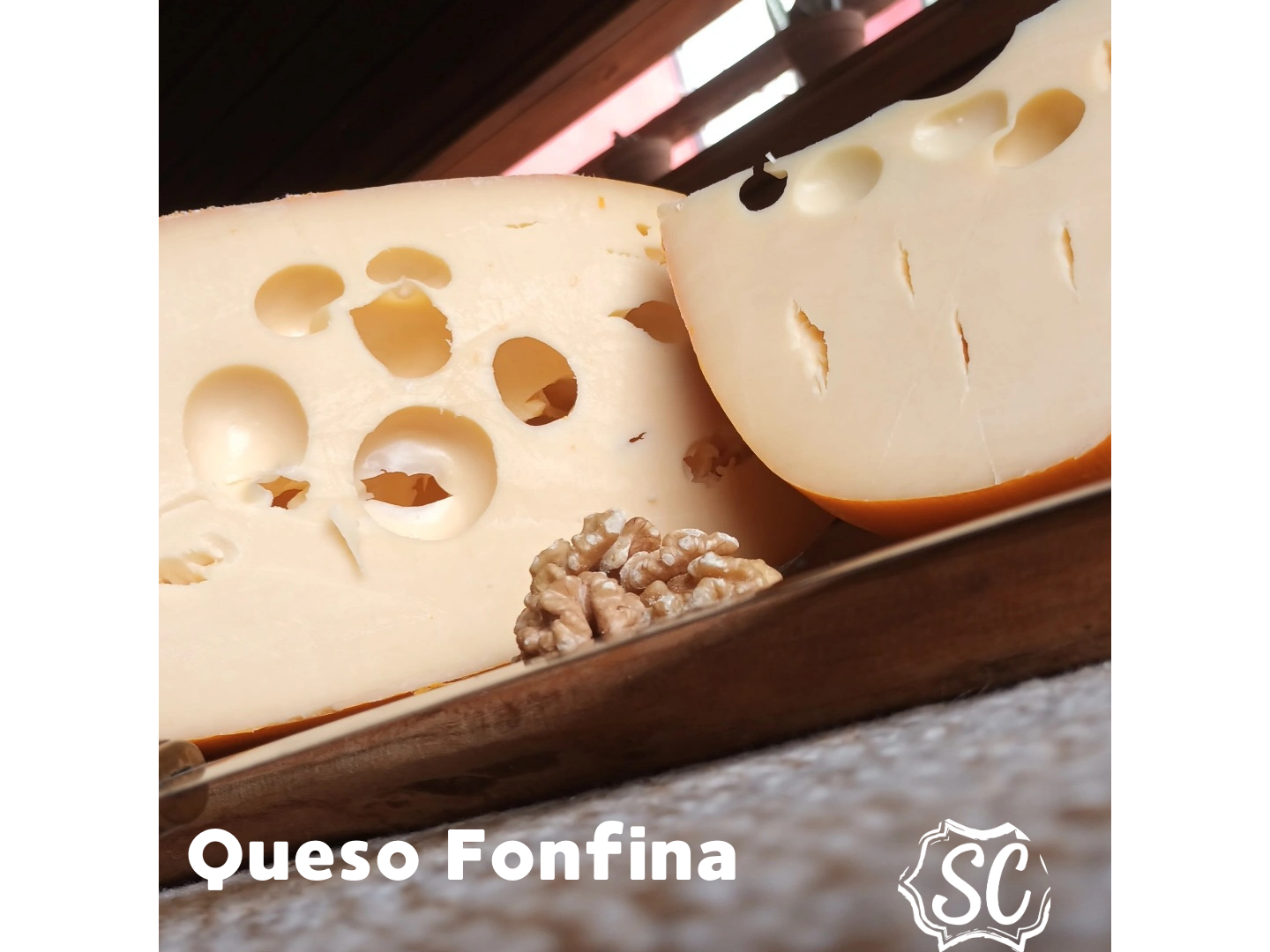 Fontina