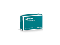 Amoxicilina 500mg - x8 cap