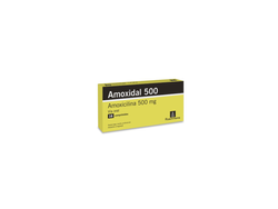 Amoxidal 500mg - x8 cap